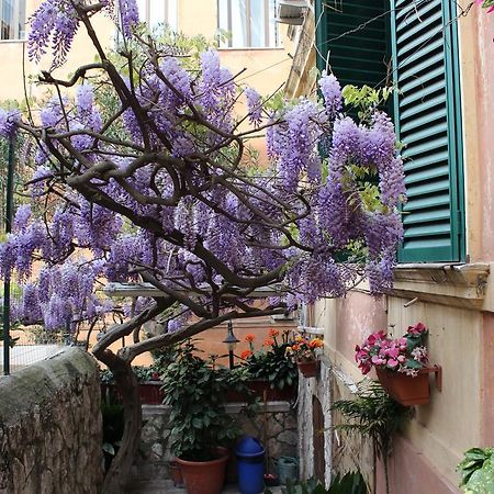 Hotel Pavia Rome Exterior photo