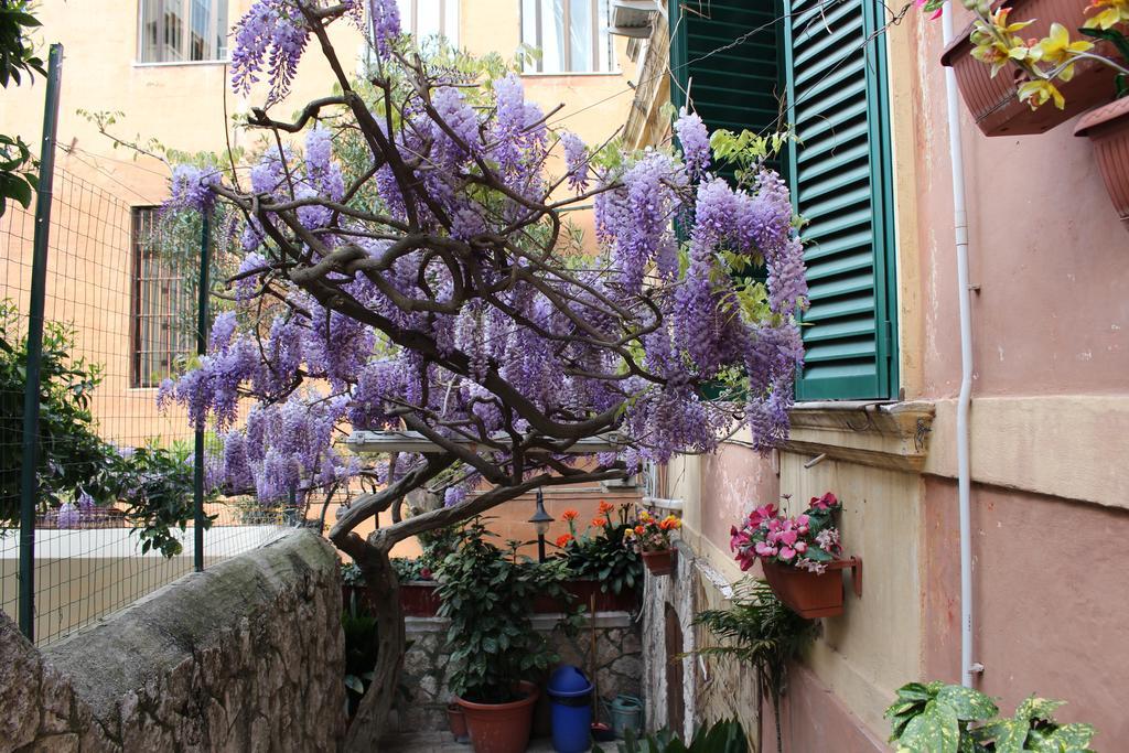 Hotel Pavia Rome Exterior photo